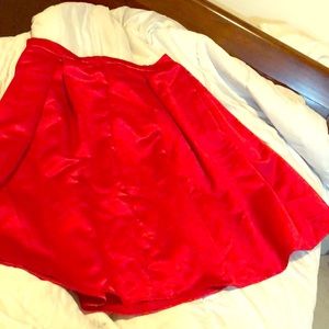A- Line Shiny Silk skirt